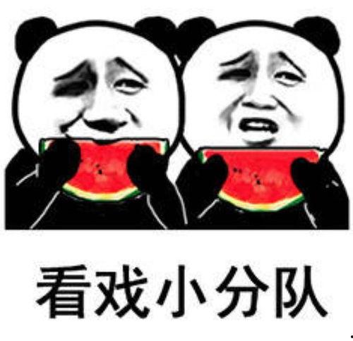 吃瓜表情包的意思是什么,网络时代的社交密码